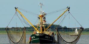 Marine Cover